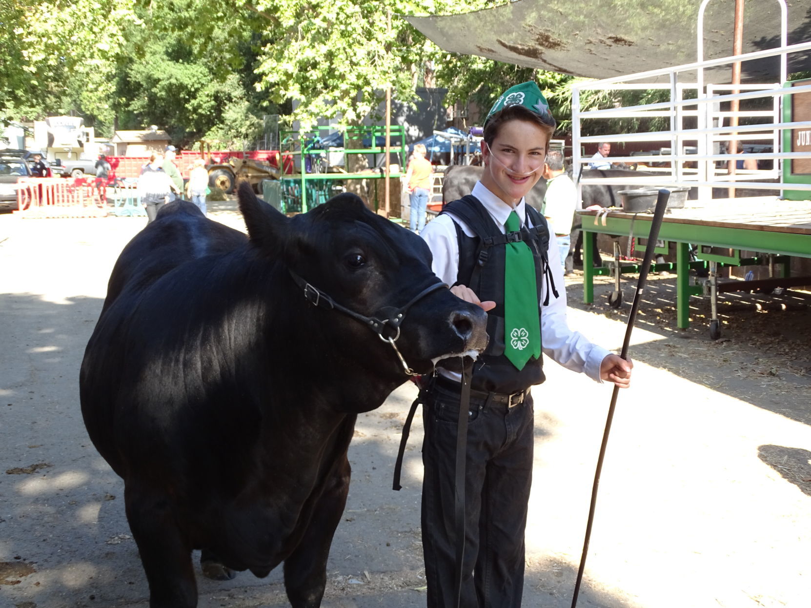 Napa Town & Country Fair 2019